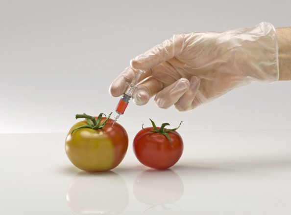 Fusion entre Monsanto et Bayer: Un danger dans nos assiettes ?