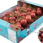 Et si les plants de tomate servaient à fabriquer des emballages fruits et légumes ?