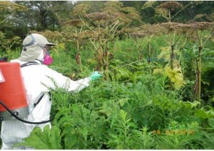 Dow AgroSciences vend ses herbicides DNA à Gowan Company