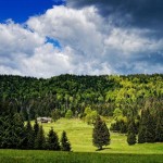 Le rôle des forêts dans la régulation du climat