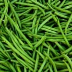 TYLCV sur haricot vert: Choisissez vos variétés pour prévenir la maladie