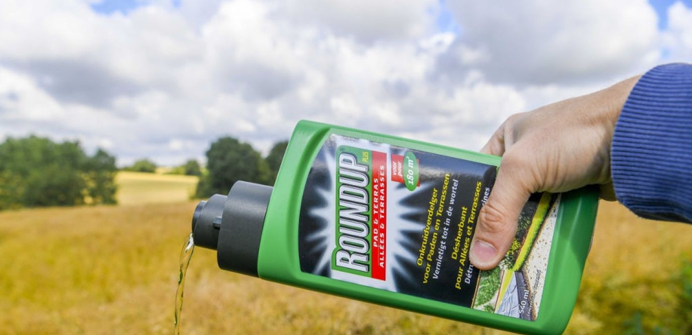 Glyphosaste : Monsanto condamné à payer plus de 80 millions de dollars