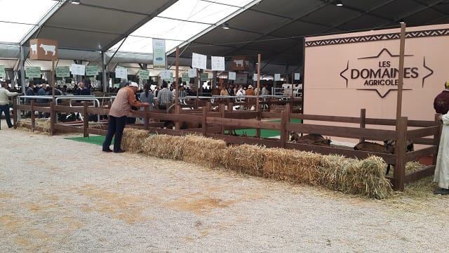 Envoyez vos photos du SIAM 2016
