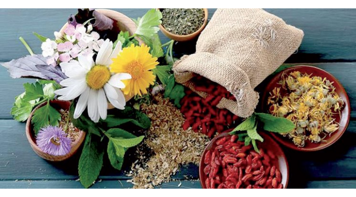 Tétouan : Séminaire sur la filière PAM