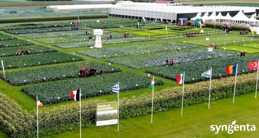 Fields of Innovation 2021: Découvrez les variétés de Semences Potagères Syngenta