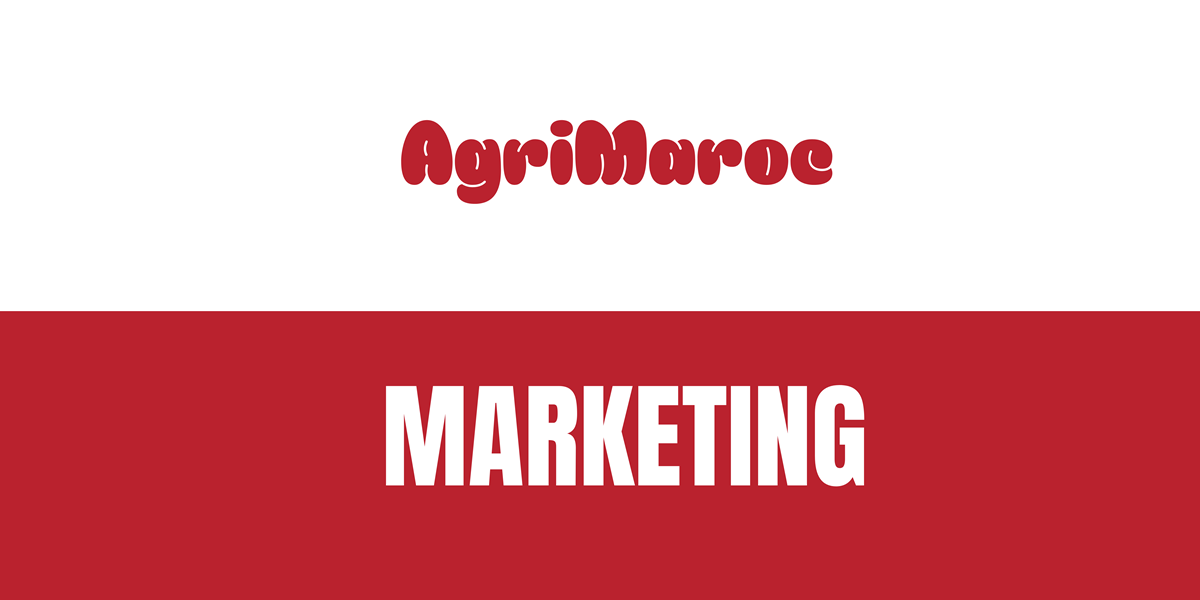 Marketing : Annonceurs, pourquoi choisir AgriMaroc ?