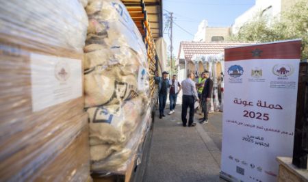 Lancement de la campagne « Aouna 2025 » pour soutenir la récolte des olives en Palestine