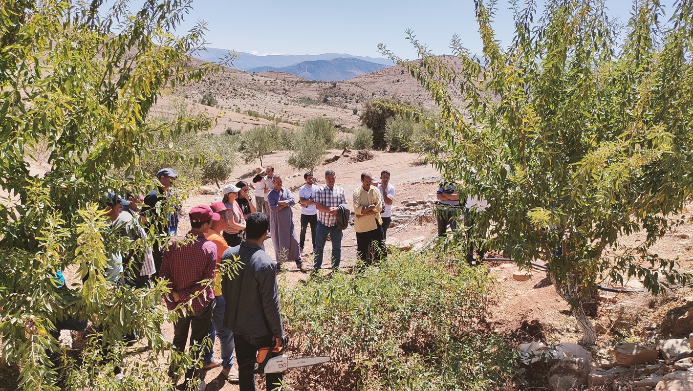 Fert : des solutions de terrain pour et par les producteurs marocains