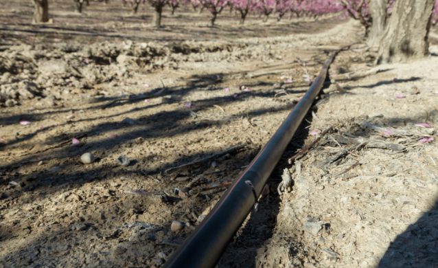 Fertigation au Maroc : comment réduire les doses d’azote sans pénaliser le rendement