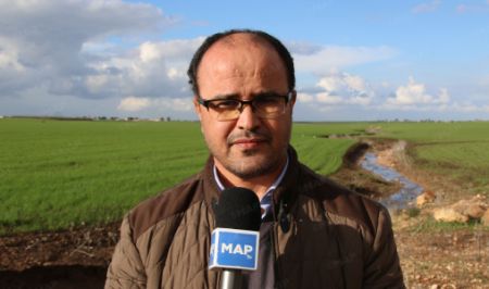 Ali Amamou : « Les pluies enregistrées en cette saison agricole contribueront sans nul doute à l’amélioration du couvert végétal »