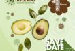 La première Morocco Avocado Conference annoncée pour septembre 2026 à Tanger