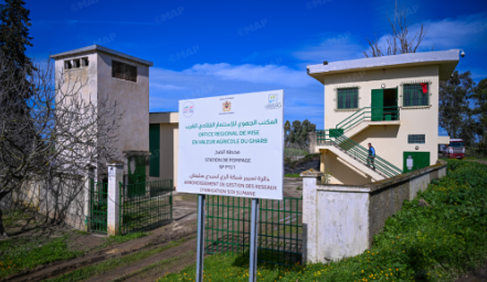 Gharb : intervention d’urgence de l’ORMVAG auprès des agriculteurs