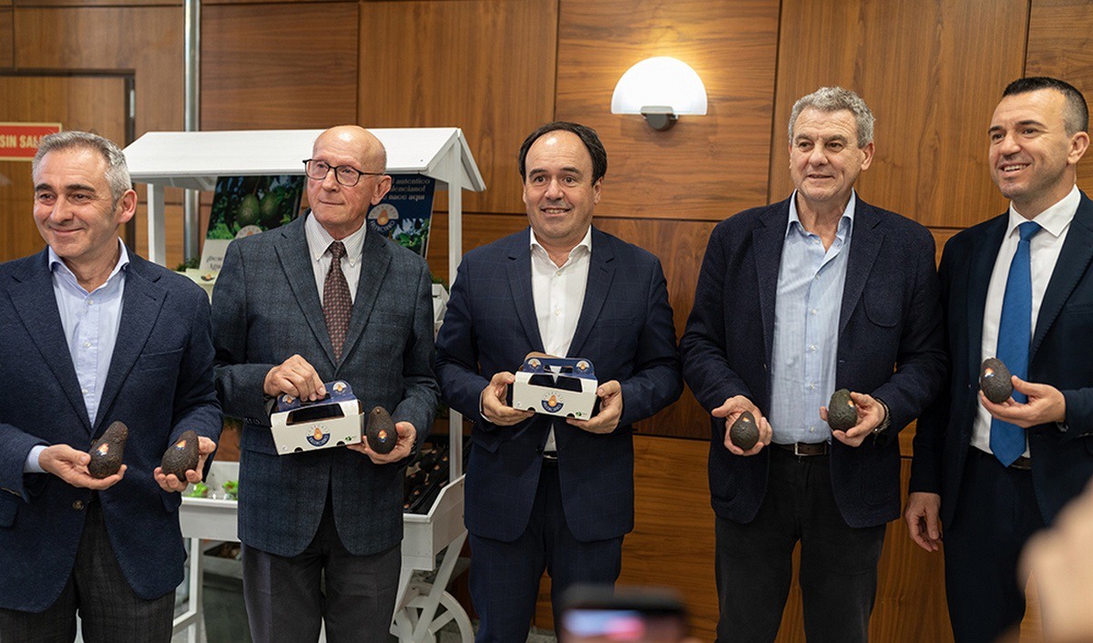 Espagne : un nouveau label « Aguacate Valenciano » lancé