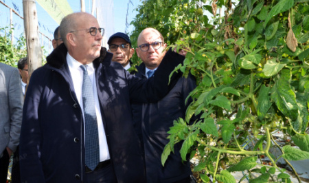 Chtouka Ait Baha : visite ministérielle pour évaluer les dégâts des vents violents sur les serres maraîchères