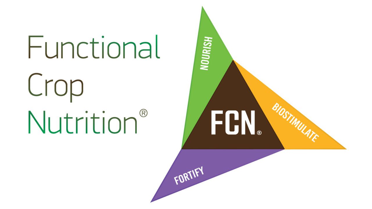 AGROLOGY met en avant la Functional Crop Nutrition® à AGRITECHNICA ASIA & HortEx 2026 à Bangkok