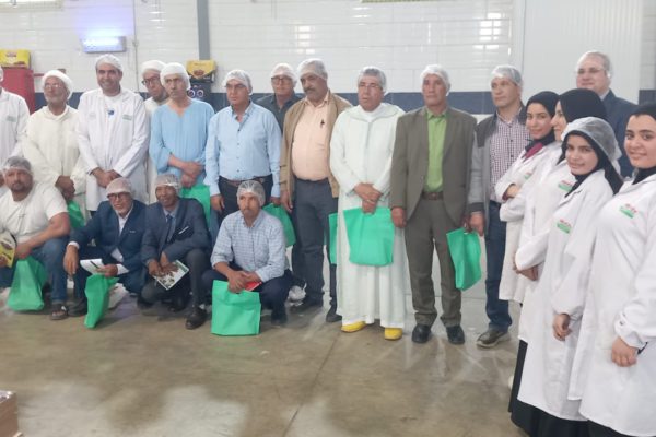 Échange d’expériences : la Chambre d’Agriculture de Drâa-Tafilalet accompagne ses agriculteurs en Égypte