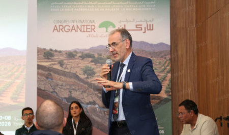 Arganier : l’INRA mise sur la recherche génétique pour renforcer la résilience hydrique des territoires arides