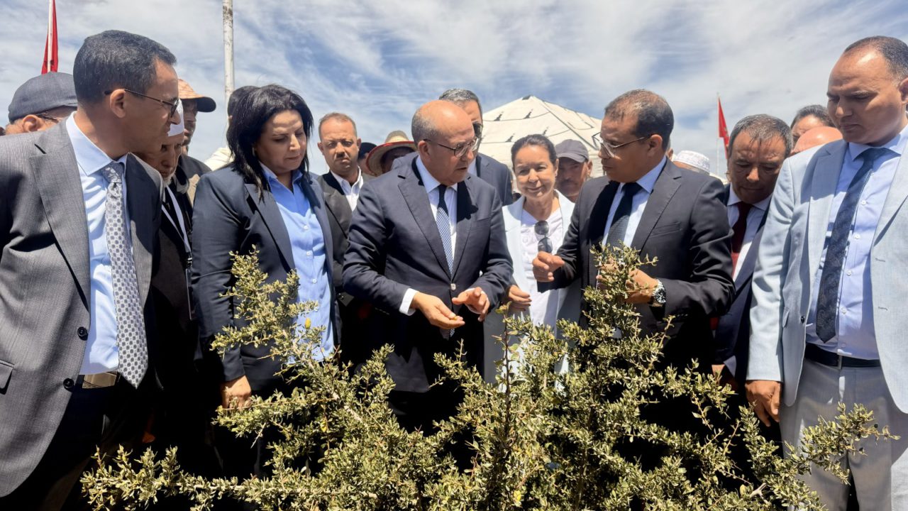 Essaouira accueille la 8e édition du Congrès International de l’Arganier