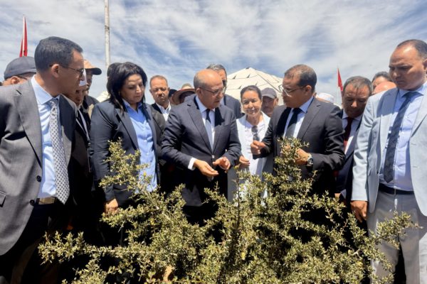 Essaouira : M. El Bouari lance des projets dans le cadre de la stratégie « Génération Green »