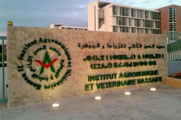 L’IAV Hassan II prépare ses 60 ans et rassemble sa communauté de lauréats