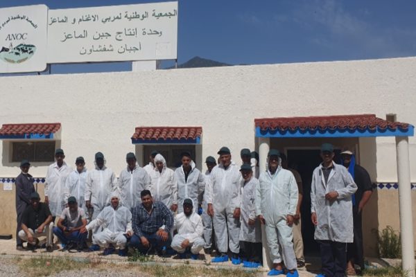 Génération Green : 60 agriculteurs de Drâa-Tafilalet en immersion dans le nord du Maroc
