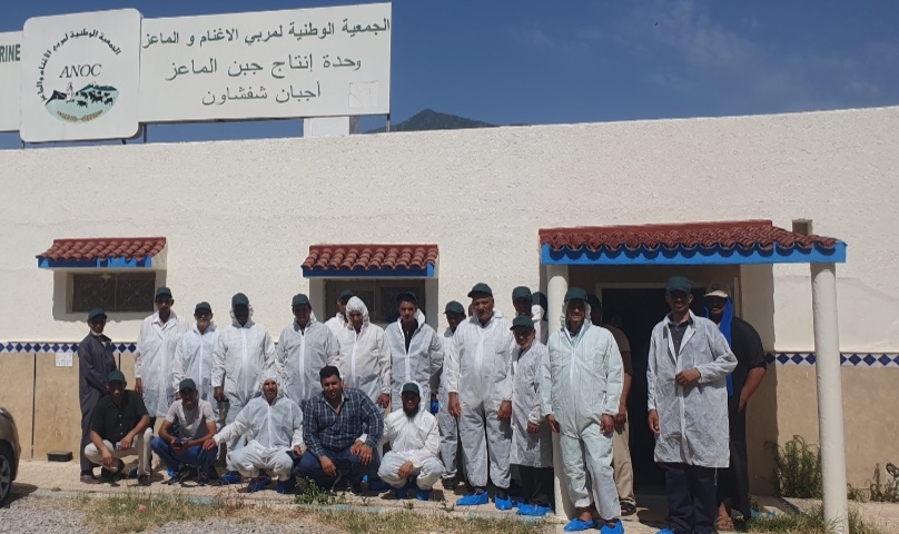 Génération Green : 60 agriculteurs de Drâa-Tafilalet en immersion dans le nord du Maroc