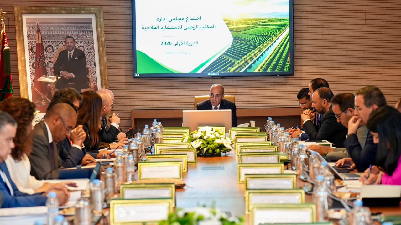 Le Ministre Ahmed El Bouari préside le Conseil d’Administration de l’Office National du Conseil Agricole