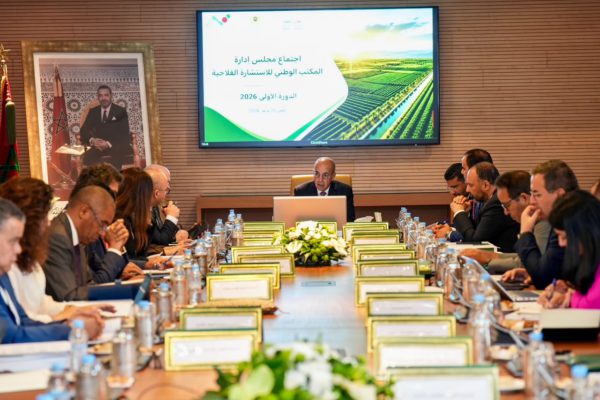 Le Ministre Ahmed El Bouari préside le Conseil d&rsquo;Administration de l&rsquo;Office National du Conseil Agricole