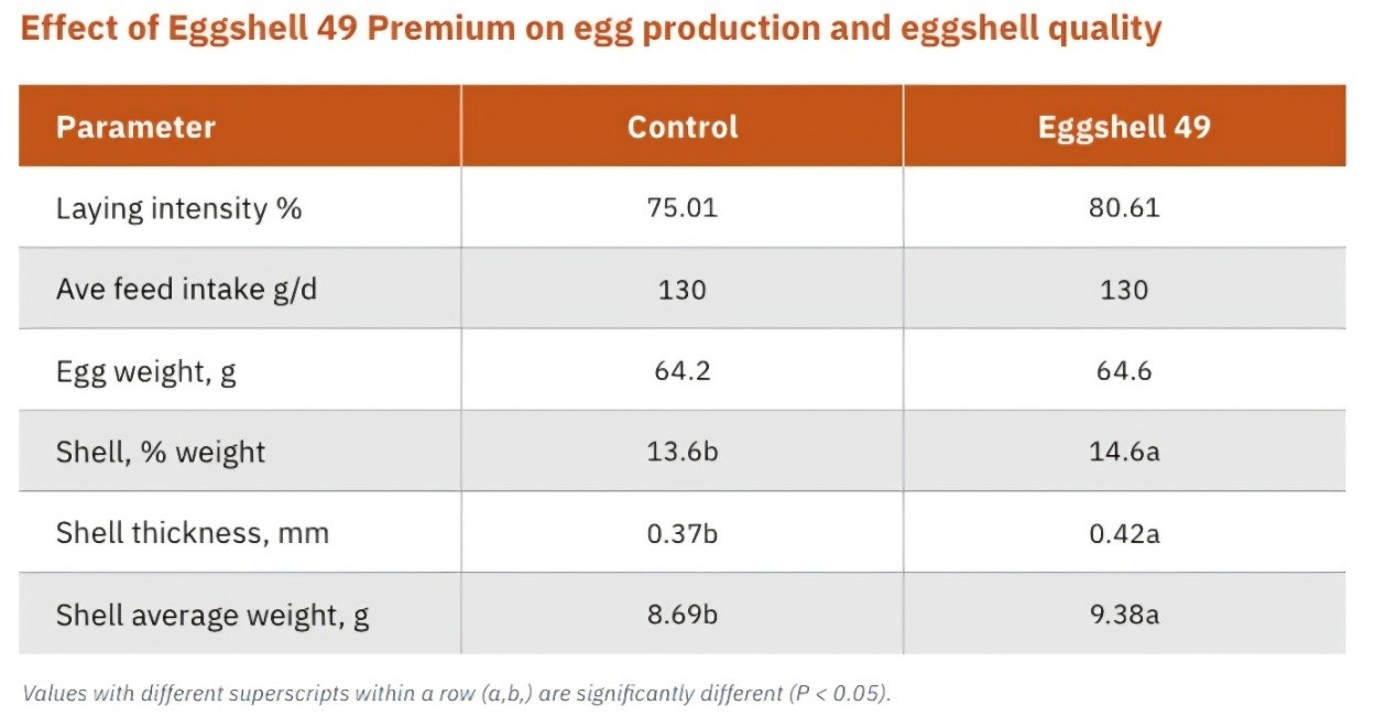 Tableau : effet d'Eggshell 49 Premium sur la production d'œufs et la qualité de la coquille, comparé au témoin