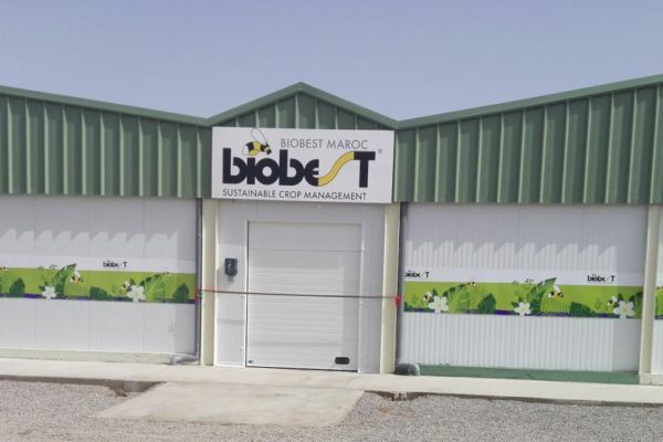 Biobest débourse 30 M€ pour reprendre les parts d’Azura dans Biobest Maroc