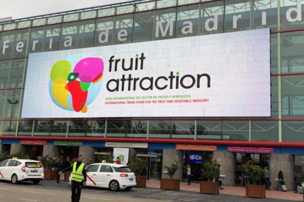 Fruits et légumes : le Maroc prépare une forte présence à Fruit Attraction 2026