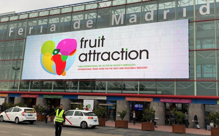 Fruits et légumes : le Maroc prépare une forte présence à Fruit Attraction 2026