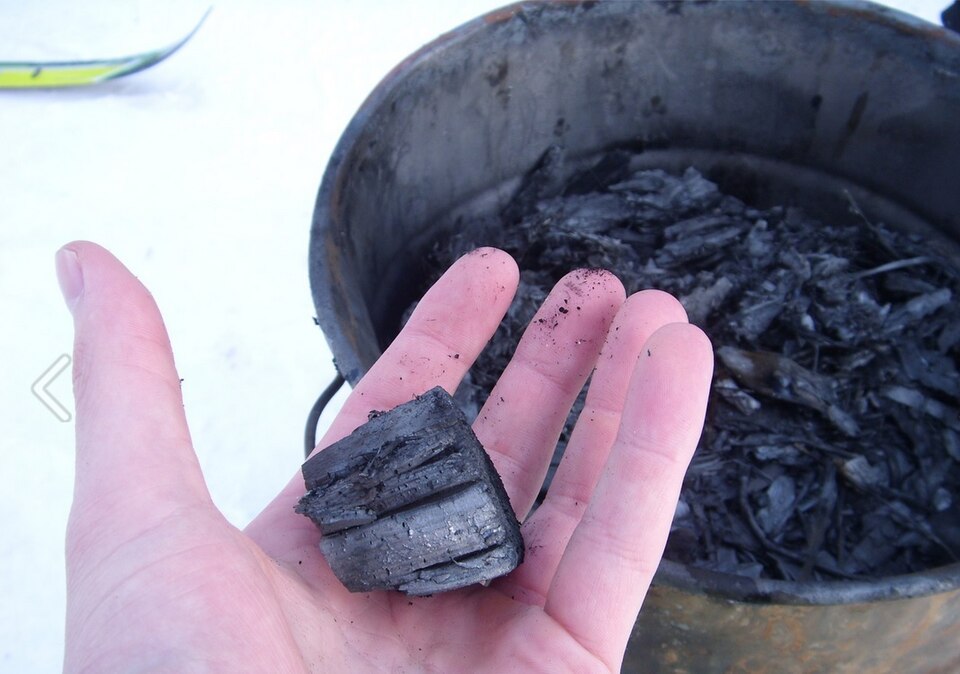 Reboisement au Maroc : la régularité de l’irrigation compte autant que le volume apporté