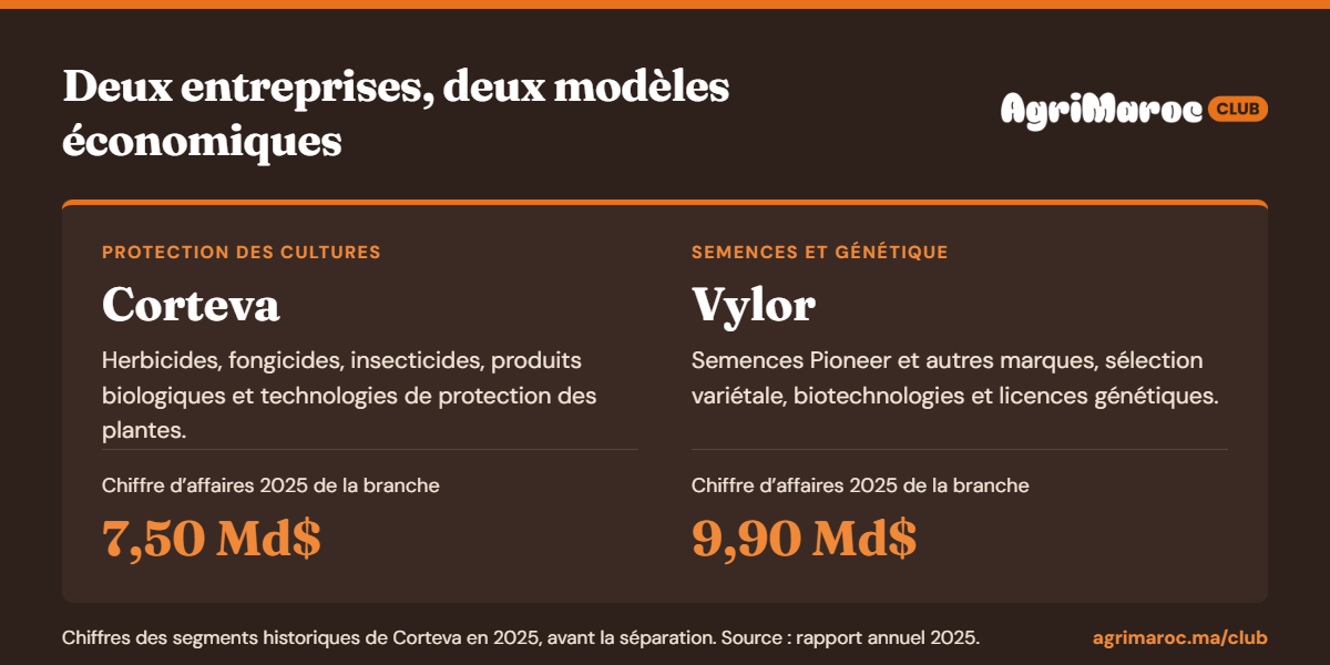 Corteva Vylor · Deux modeles