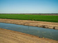 Idyllic rural scene with a canal running alongside verdant farmland under a clear blue sky.