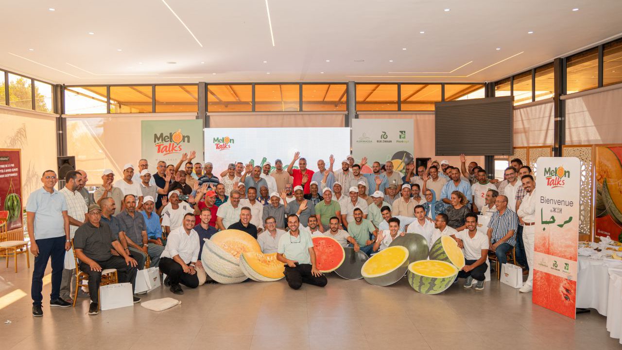 Rijk Zwaan Maroc réunit la filière melon et pastèque avec PLANTAGRI et AGRIMASSA