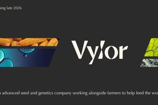 Corteva et Vylor : quels impacts de la scission sur le marché des semences et intrants agricoles ?