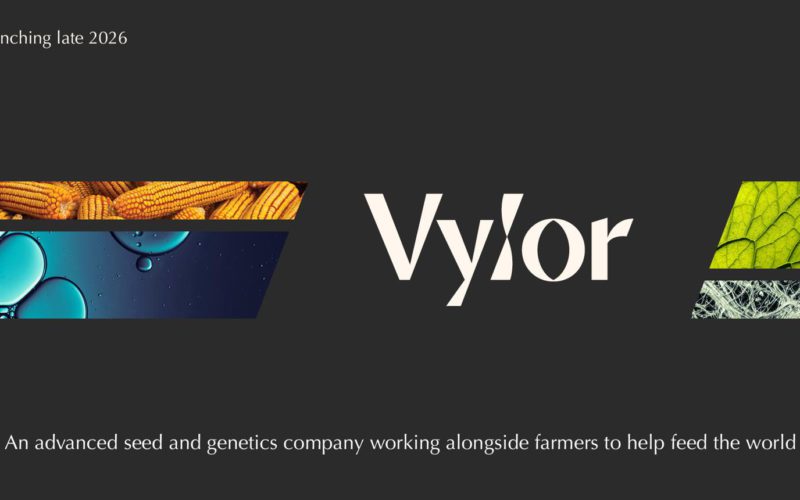 vylor lancement