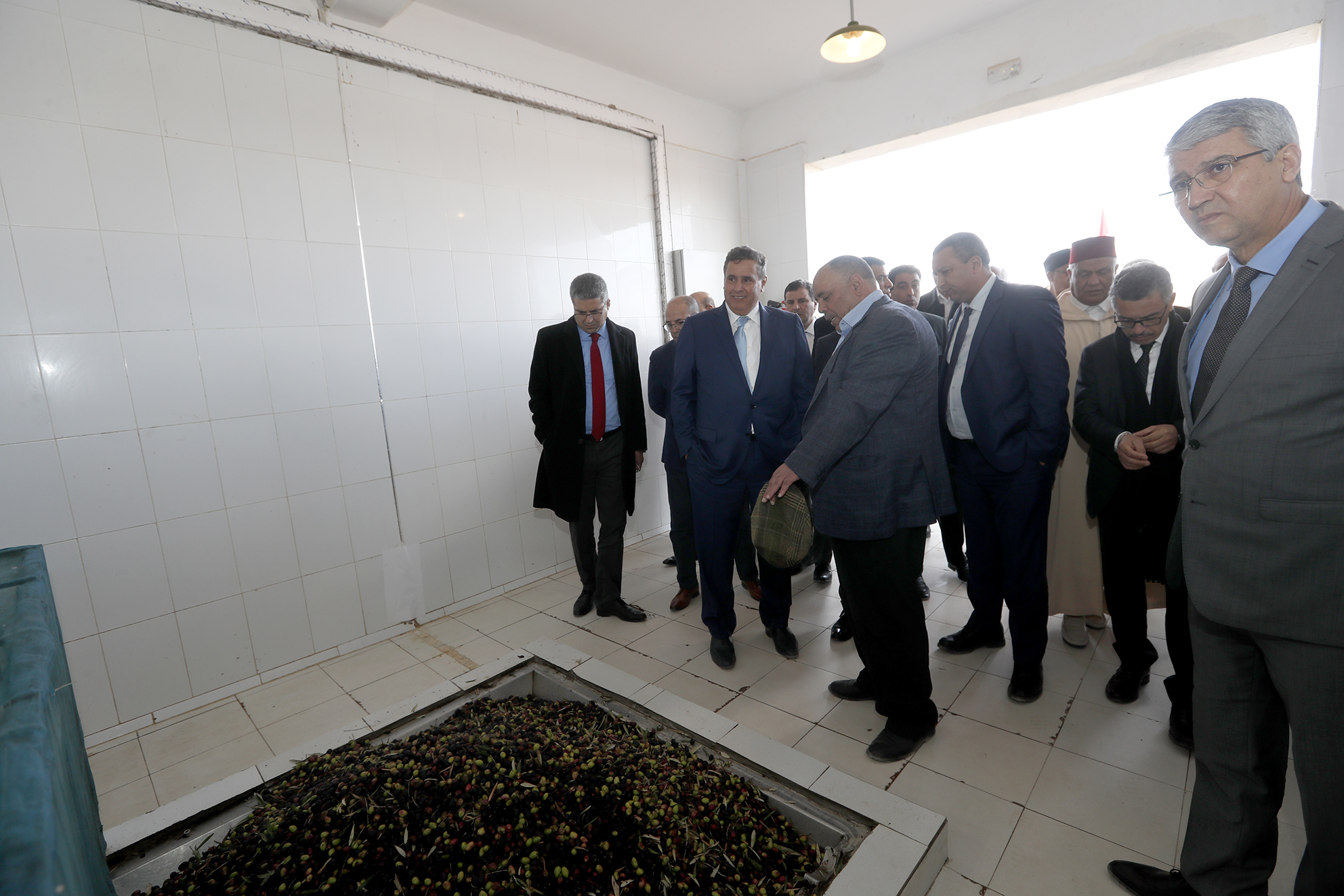 مخطط المغرب الأخضر: السيد أخنوش في زيارة ميدانية لإقليمي الناظور وتاوريرت