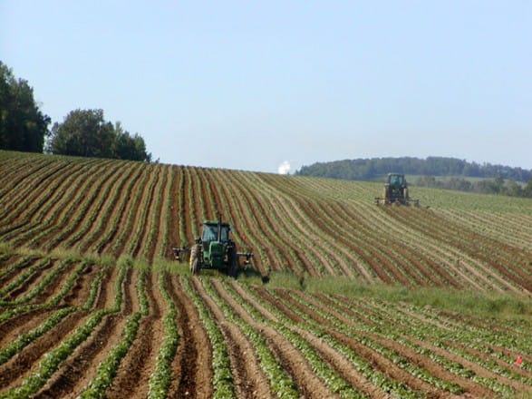 AMIMA: la mécanisation agricole toujours en difficulté