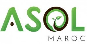 ASOL pionnière du secteur de semences maraîchères au Maroc