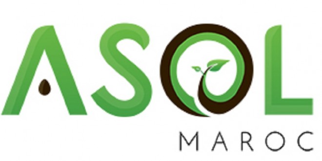 ASOL pionnière du secteur de semences maraîchères au Maroc