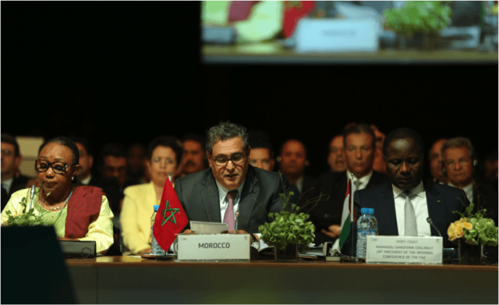 « Initiative en faveur de l&rsquo;Adaptation de l&rsquo;Agriculture Africaine »