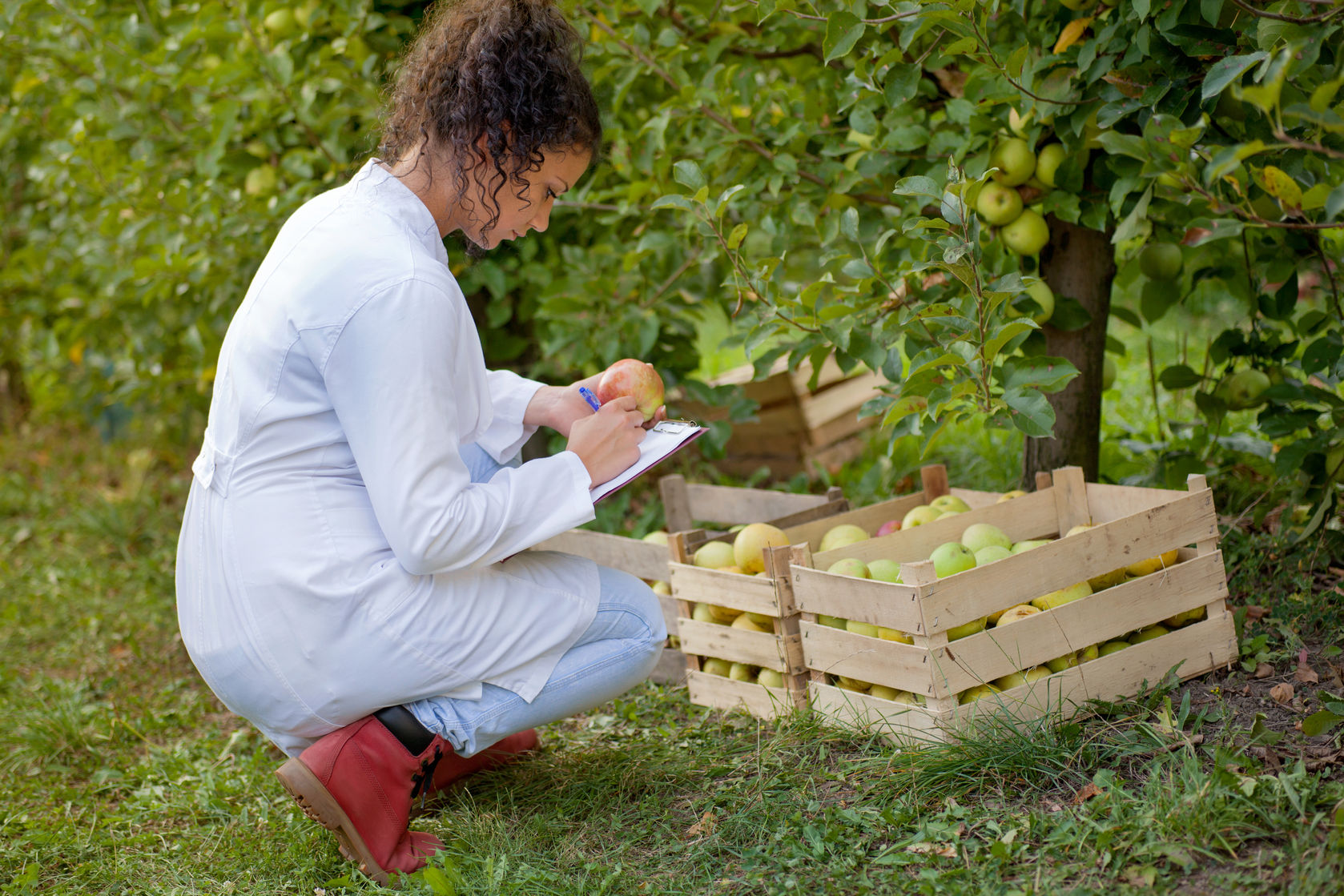 Dossier : Emploi et enseignement agricole au Maroc : quel avenir pour l’ingénieur agronome ?
