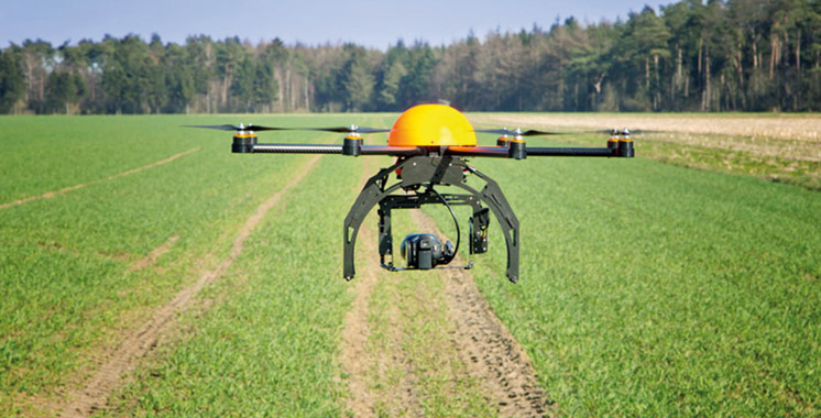 FAO : le numérique et l’intelligence artificielle au service des systèmes agroalimentaires mondiaux