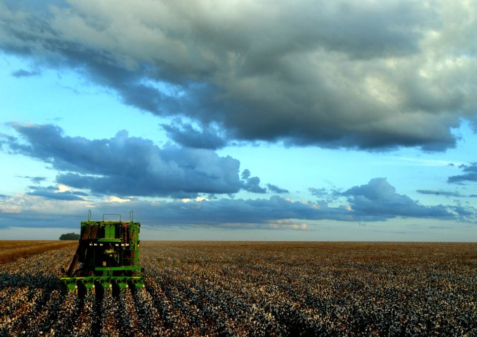 Le Brésil deviendra le plus grand fournisseur de produits alimentaires et agricoles au monde