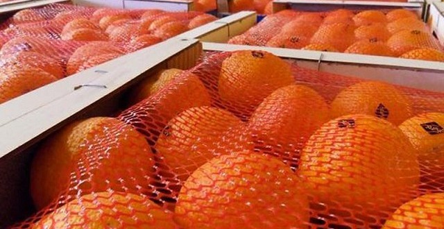 Akhannouch et les exportateurs de fruits et légumes explorent la Russie