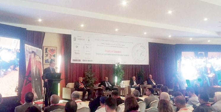 La filière des fruits et légumes au Souss-Massa