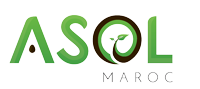 Coordinateur / coordinatrice et appui administratif ASOL