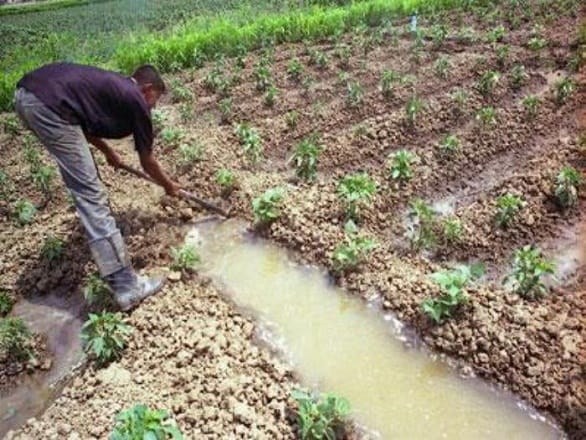 L&rsquo;agriculture « raisonnée » à la recherche de ses lettres de noblesse